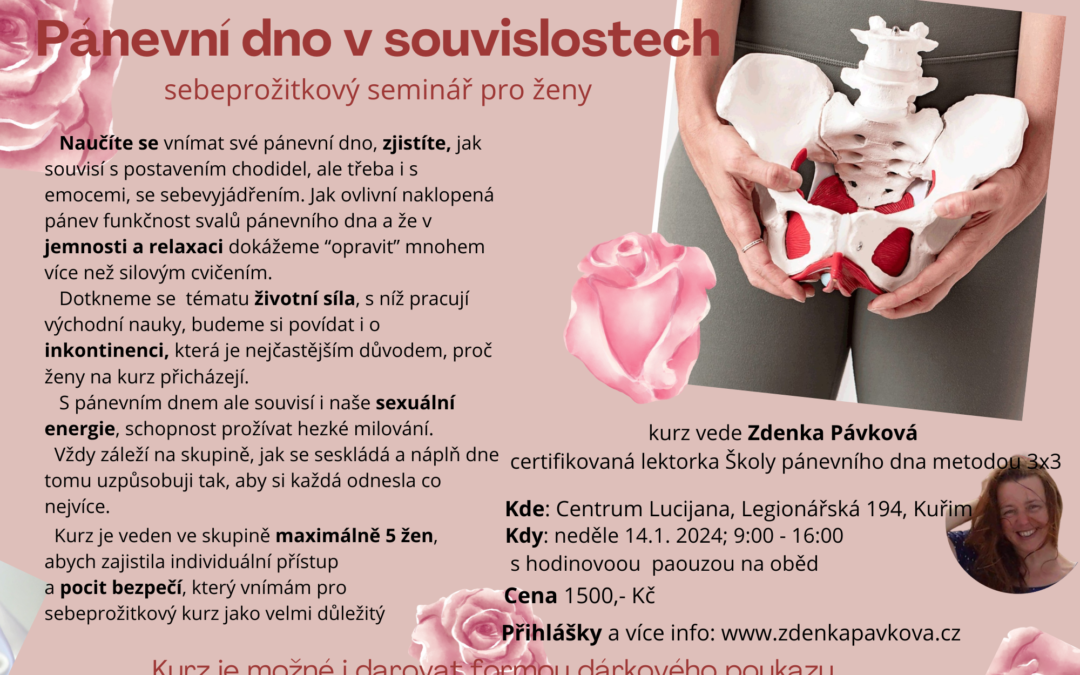 Pánevní dno v souvislostech 14.1.2024